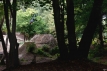Click to enlarge image IMG_1350s.jpg