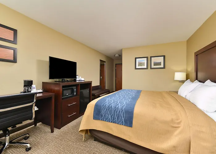 Finest Hotels Near 75 Champ Blvd Manheim