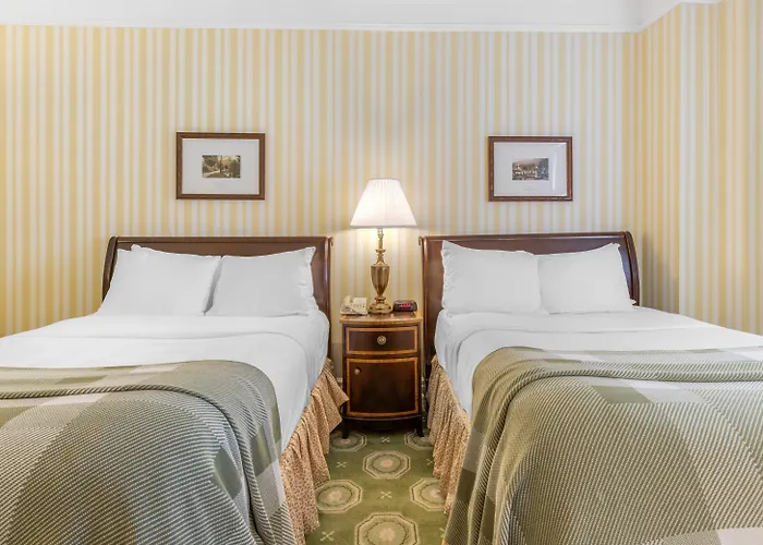 Top Hot Springs VA Hotels for Nature Lovers