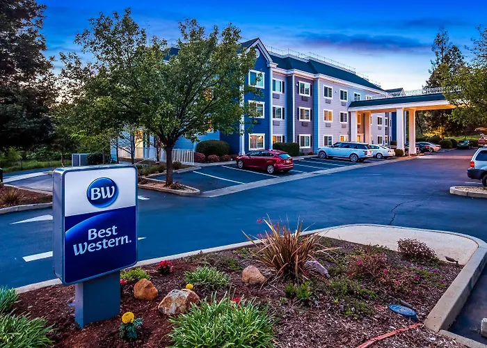 Best Hotels Near Paradise Coast Sports Complex