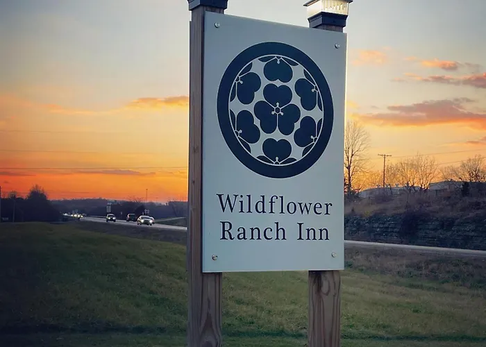 Best Hotels Near Vibrant Springfield