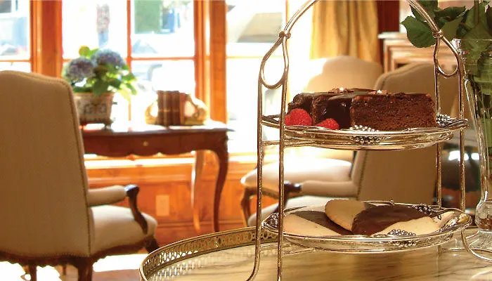 Best Dog Friendly Hotels in Healdsburg