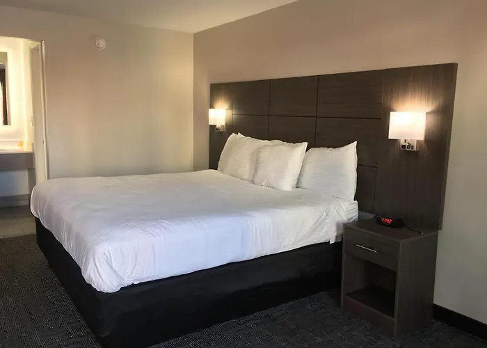 Top Hotels in North Charleston for All Travelers